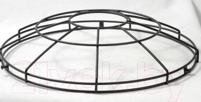 Потолочный светильник Lussole Loft GRLSP-9848