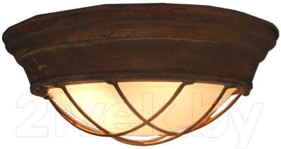 Потолочный светильник Lussole Loft Huntsville GRLSP-8068 - фото