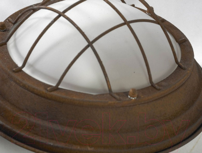 Потолочный светильник Lussole Loft Huntsville GRLSP-8068