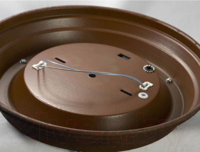 Потолочный светильник Lussole Loft Huntsville GRLSP-8068