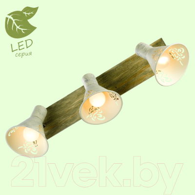 Спот Lussole LGO Mcconnico GRLSP-8059