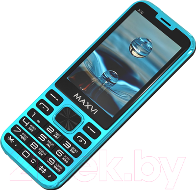 Мобильный телефон Maxvi X10