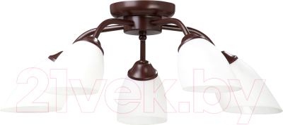 Люстра Vitaluce V3252/5PL - фото