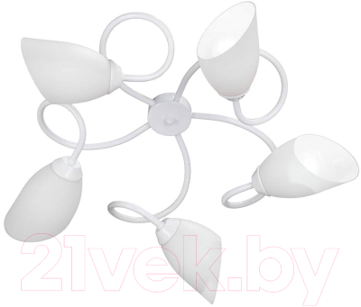 Люстра Vitaluce V3396/5PL - фото