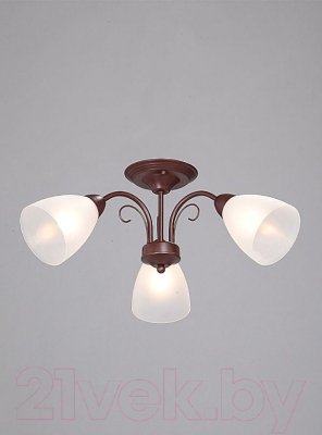 Люстра Vitaluce V3499/3PL