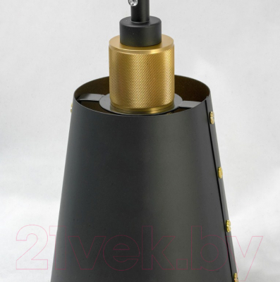 Потолочный светильник Lussole Loft GRLSP-9861