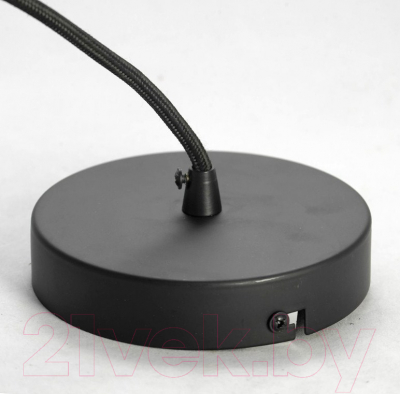 Потолочный светильник Lussole Loft GRLSP-9861