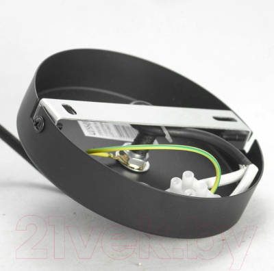 Потолочный светильник Lussole Loft GRLSP-9861