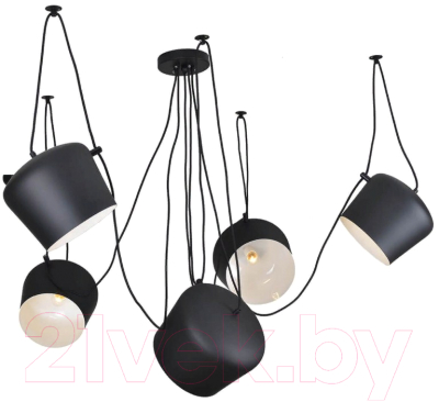 Люстра Lussole Loft Shirley GRLSP-9919 - фото