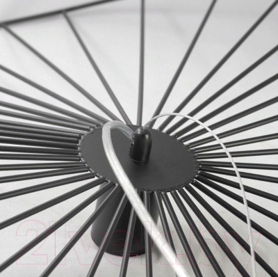 Потолочный светильник Lussole Loft Buffalo GRLSP-9931