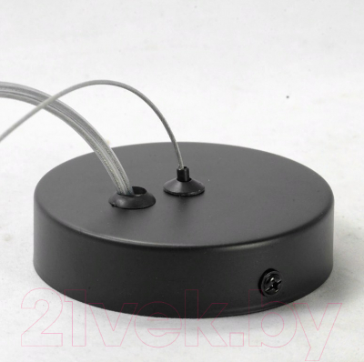 Потолочный светильник Lussole Loft Buffalo GRLSP-9931