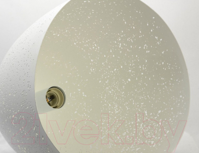 Потолочный светильник Lussole Loft GRLSP-9891