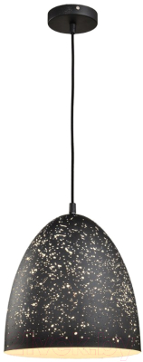 Потолочный светильник Lussole Loft GRLSP-9892 - фото