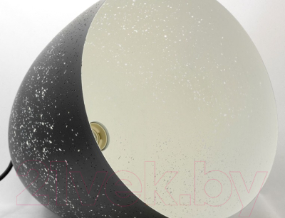 Потолочный светильник Lussole Loft GRLSP-9892