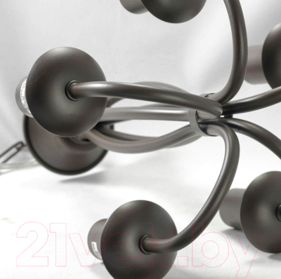 Люстра Lussole LGO Congress GRLSP-9913