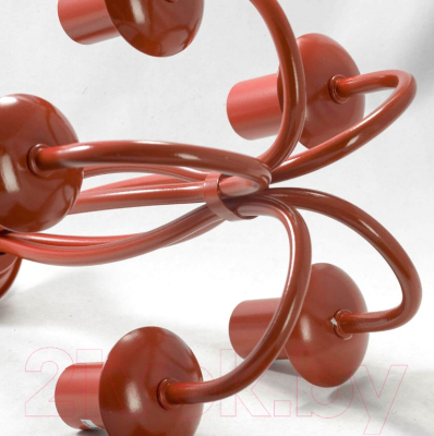 Люстра Lussole LGO GRLSP-9915