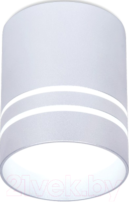 Точечный светильник Ambrella TN241 SL/S - фото