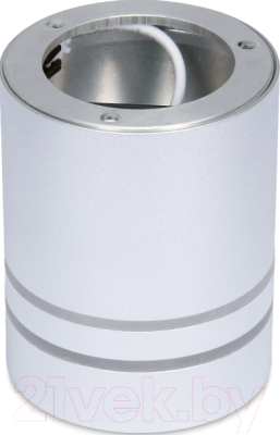 Точечный светильник Ambrella TN241 SL/S