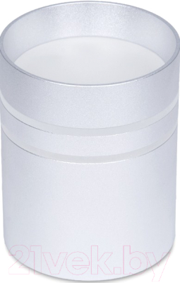 Точечный светильник Ambrella TN241 SL/S