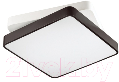 Потолочный светильник Lumion Agatha 4511/72CL - фото