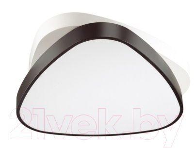 Потолочный светильник Lumion Agatha 4510/72CL - фото