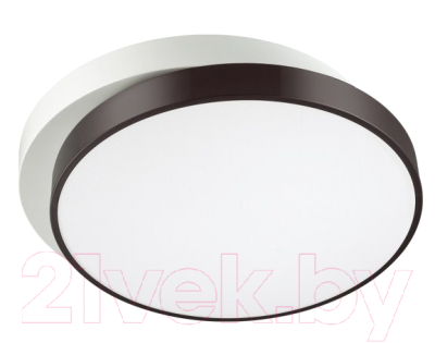 Потолочный светильник Lumion Agatha 4509/72CL - фото