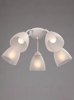 Люстра Vitaluce V3737-0/5PL