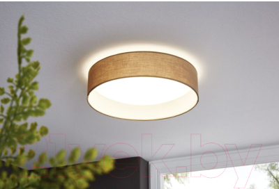 Потолочный светильник Eglo Pasteri 31589