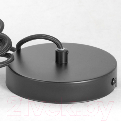 Потолочный светильник Lussole LSP-8212