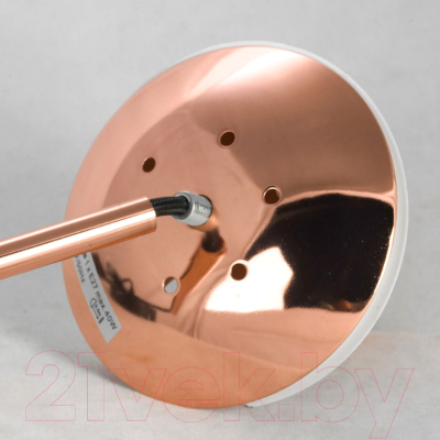 Потолочный светильник Lussole LSP-8212