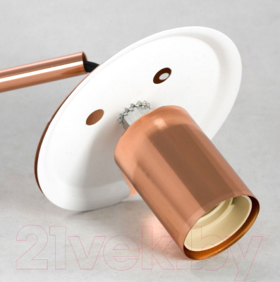 Потолочный светильник Lussole LSP-8212