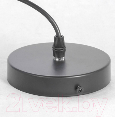 Потолочный светильник Lussole LSP-8213