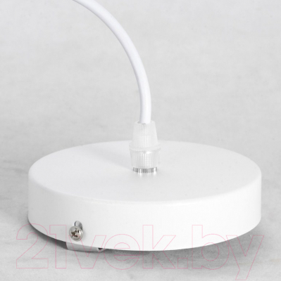 Потолочный светильник Lussole LSP-8214