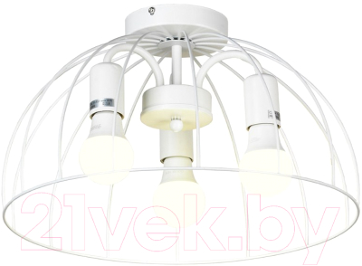 Люстра Lussole LSP-8218 - фото