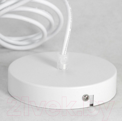 Потолочный светильник Lussole LSP-8220