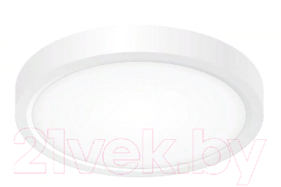 Потолочный светильник Citilux Бейсик CL738120N - фото