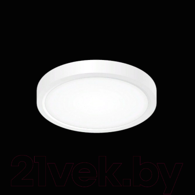 Потолочный светильник Citilux Бейсик CL738120N