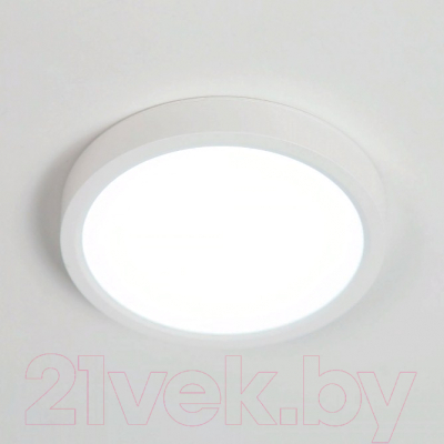 Потолочный светильник Citilux Бейсик CL738120N