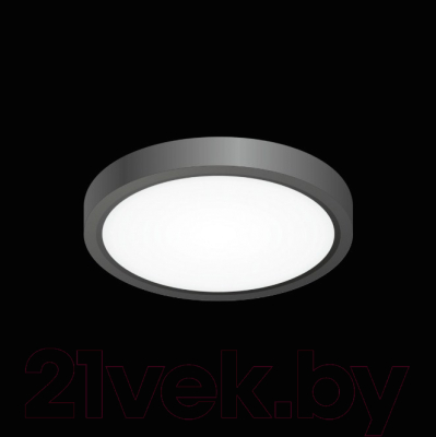 Потолочный светильник Citilux Бейсик CL738121N