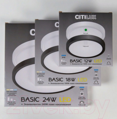 Потолочный светильник Citilux Бейсик CL738181V