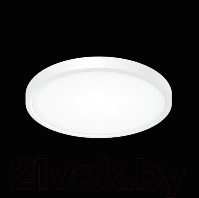 Потолочный светильник Citilux Бейсик CL738240V