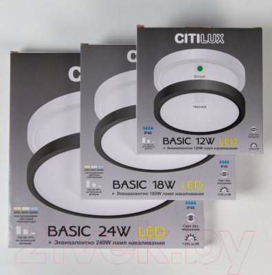 Потолочный светильник Citilux Бейсик CL738240V