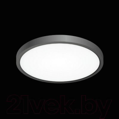 Потолочный светильник Citilux Бейсик CL738241V