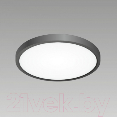 Потолочный светильник Citilux Бейсик CL738241V