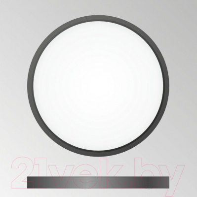 Потолочный светильник Citilux Бейсик CL738241V