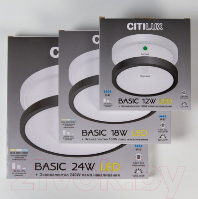 Потолочный светильник Citilux Бейсик CL738241V