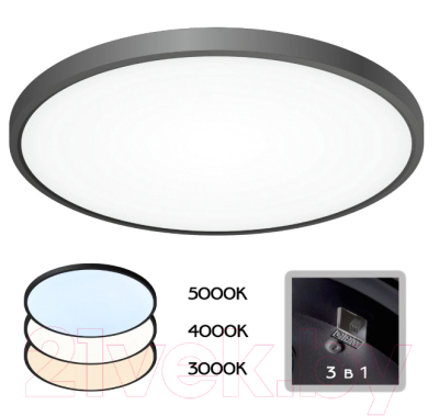 Потолочный светильник Citilux Бейсик CL738401V