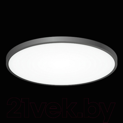 Потолочный светильник Citilux Бейсик CL738501V