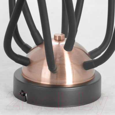 Люстра Lussole LSP-8247