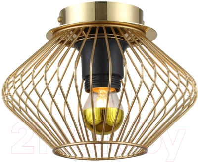 Потолочный светильник Lussole LSP-8248 - фото